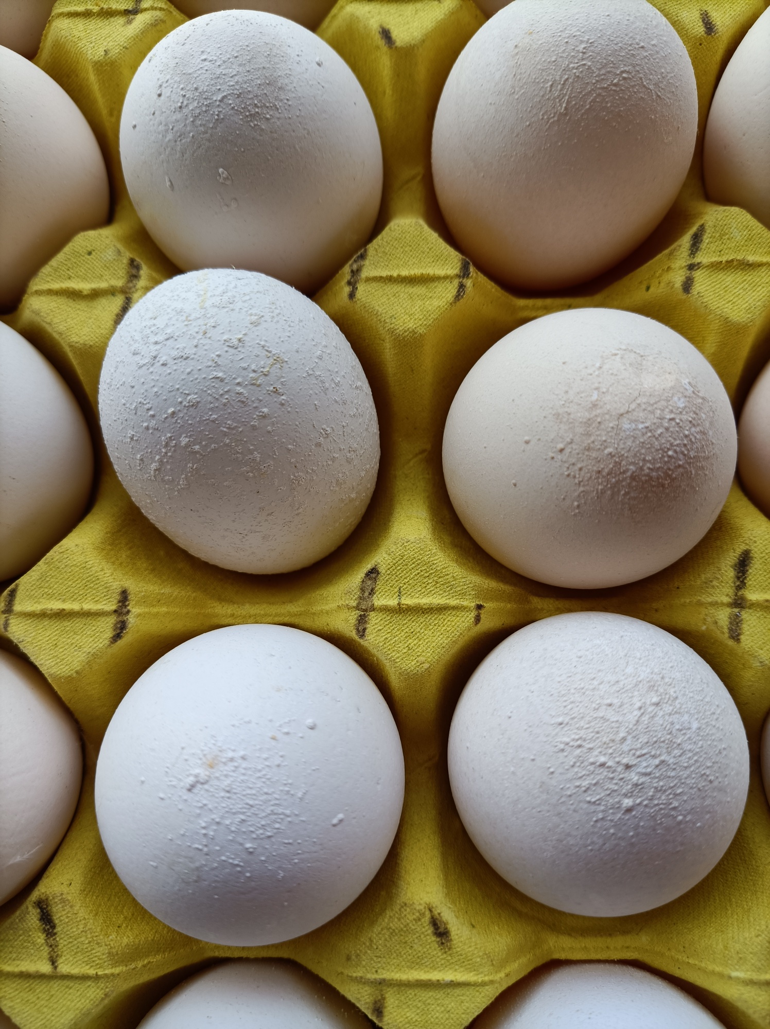 稀奇！“大块头”鸡蛋表面凹凸不平像波纹，原因出在母鸡身上_新浪新闻