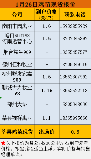 1月26日817鸡苗现货报价 